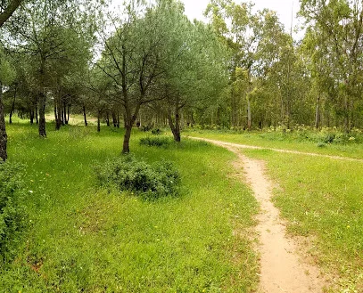 Forêt De Temara - photo 1